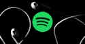 What is Spotify for Artists-iMusician